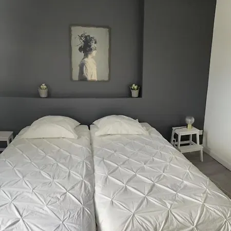 Le Céleste Appartement Épernay