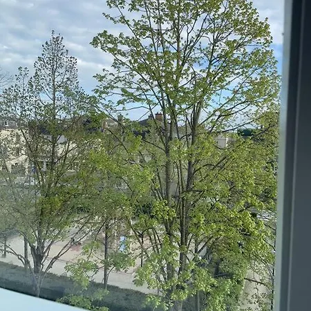 Appartement Le Céleste