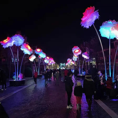 Le Celeste Apartment