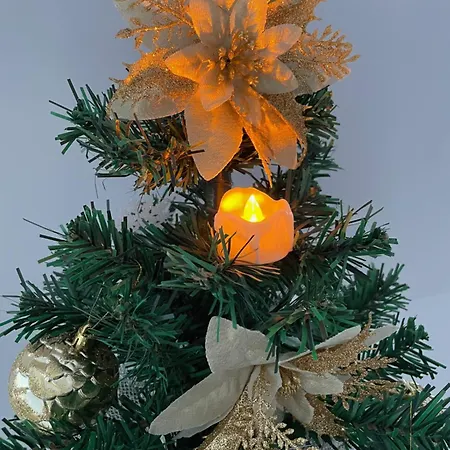 Apartment Le Celeste *