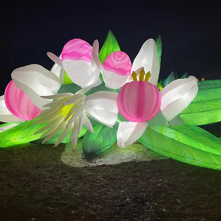 Le Céleste Appartement